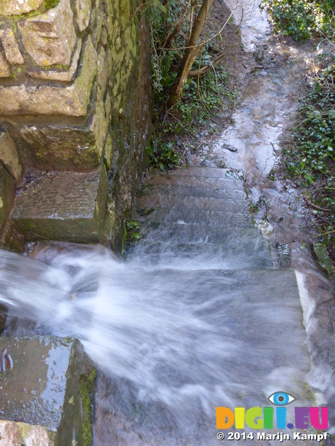 FZ001465 Overflowing steps and style